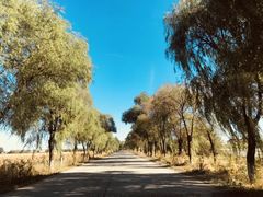 -白渔泡湿地公园