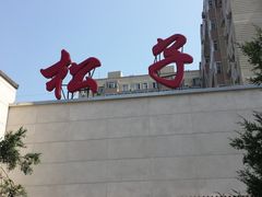门面-松子料理(白家庄店)