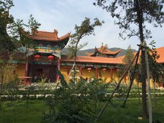 -正觉寺