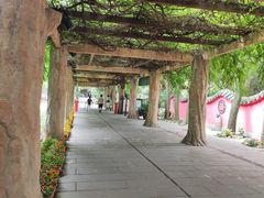 -房湖公园