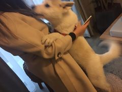 -云里小坐·小院里·团建·宴请·下午茶(三圣乡店)