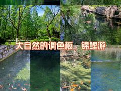 -环城公园