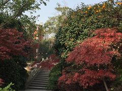 -张江润和国际总部园