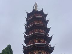 -鸡鸣赐茶(鸡鸣寺路店)