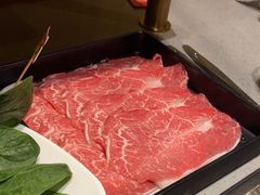 -海底捞火锅(高科东路店)