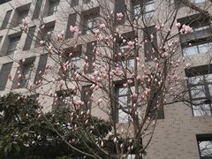 -河海大学(江宁校区)