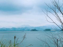 -千岛湖君澜度假酒店(文广轩中餐厅)