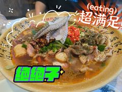 -芙蓉树下冒菜·麻辣烫(农院店)