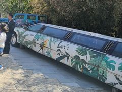 -燕塞湖鸟语林景区