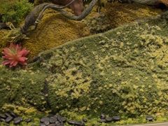 -外滩·云南人家(昆明旗舰店)