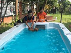 -翊宠yipet猫狗购宠庄园犬舍•猫舍