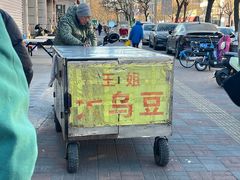 -洪湖里王姐大乌豆