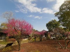 -上海佘山国家森林公园天马山园