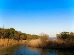 -上海吴淞炮台湾国家湿地公园