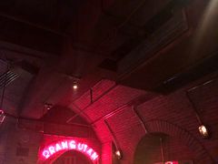 -Orangutan Bunker猩猩地堡酒吧(兰桂坊店)