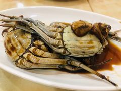 -红灯笼龙凤饭店(宁波老字号店)