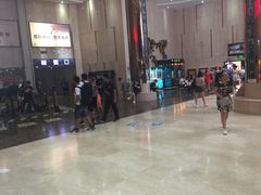 -武汉华夏国际影城(鲁广店)