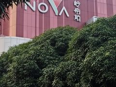 -岭南站NOVA
