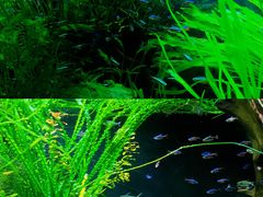-上海海洋水族馆