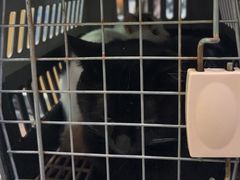 -pd派德宠物中心医院24H急重症·眼科中心·血液透析中心(嵩山北路店)