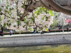 -元大都城垣遗址公园