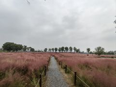 -汉长安城未央宫国家考古遗址公园