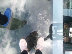 -梦幻奥陶纪景区