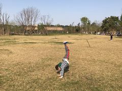 -白鹭湾湿地公园