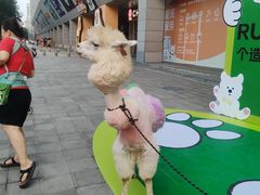 -开元商城(西旺店)