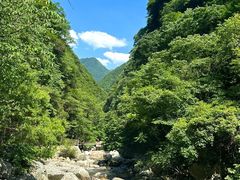 -沣峪口