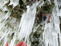 -长白山万达国际度假区