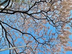 -红星桥(地铁站)