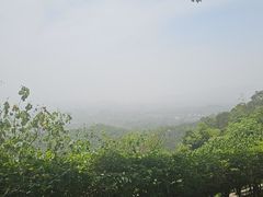 -火炉山森林公园