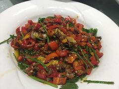 -食家鸽园