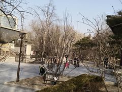 -元大都城垣遗址公园