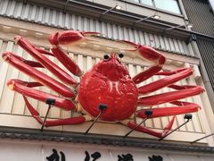 -蟹道乐(道顿堀本店)