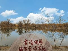 -金塔沙漠胡杨林景区
