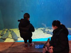 -华夏文旅海洋公园