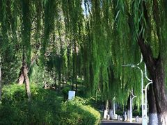 -济南国际园博园