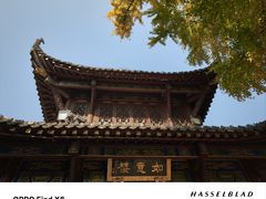-长春观