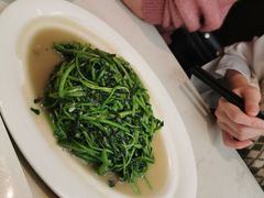 -肥仔文澳门猪骨煲(南京西路店)