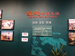 -中国湿地博物馆