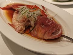 -祥记餐饮•豫粤珍味(金隅大厦店)