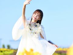 -荷兰花海