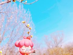 -国家植物园
