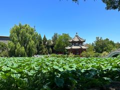 -莲池书院博物馆