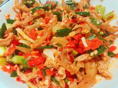 鸭掌筋-壹盏灯(惠农店)