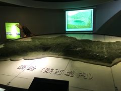 -陕西自然博物馆