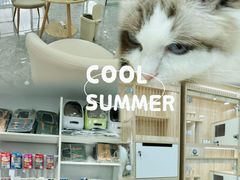 -爱洗澡的猫(天河路店)