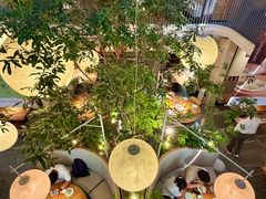 -馋嘴猫北京食堂·烤鸭·宵夜(亚运村店)